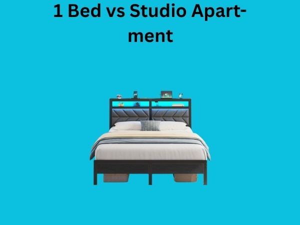 1 Bed vs Studio Apartment