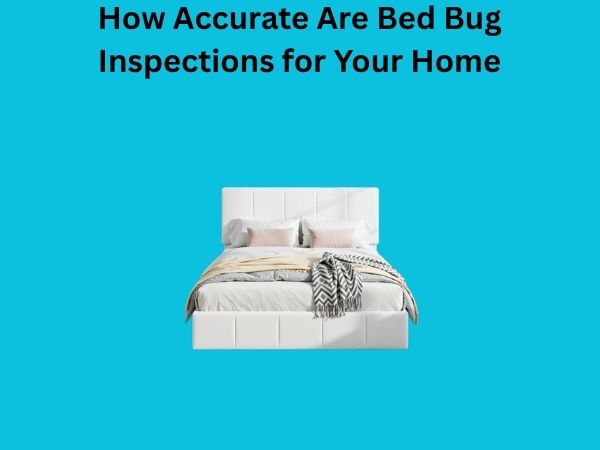 How Accurate Are Bed Bug Inspections for Your Home