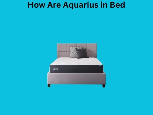How Are Aquarius in Bed