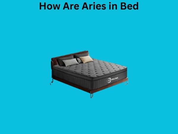How Are Aries in Bed